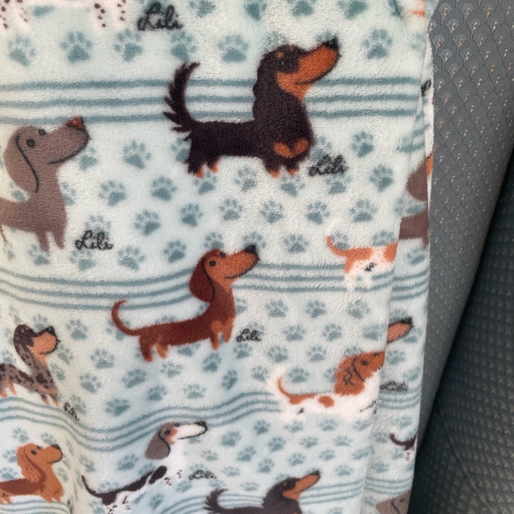 Berkshire Blanket Doggie Drawings Throw - Teal and Brown - Picture 8 of 10